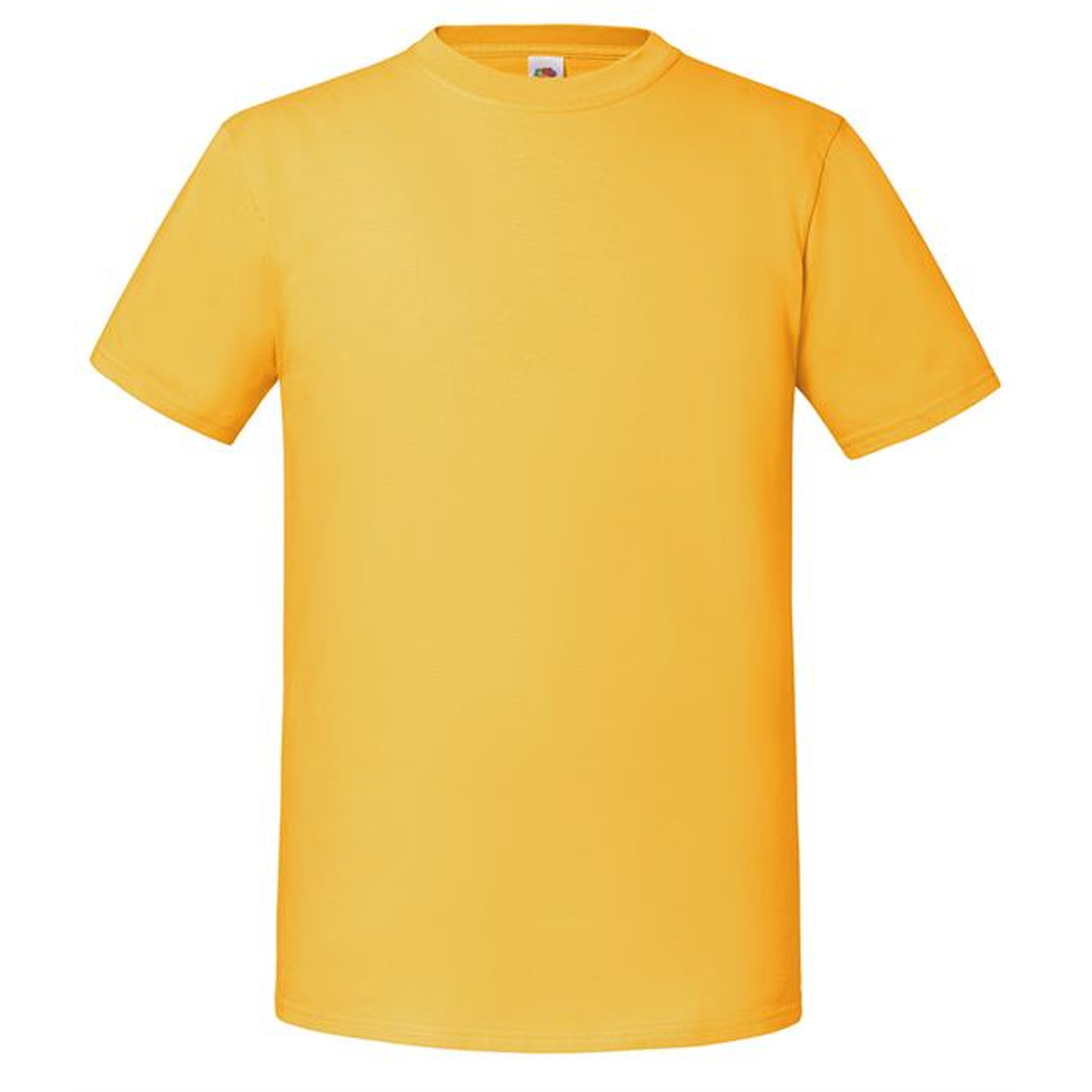 Fruit Of The Loom Mens Iconic 195 Ringspun Premium Tshirt (RW5974) - Picture 68 of 76