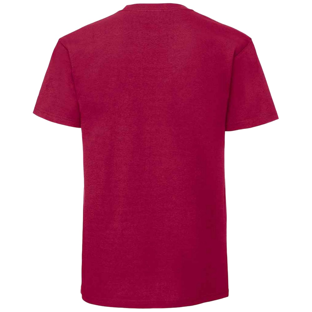 Fruit Of The Loom Mens Iconic 195 Ringspun Premium Tshirt (RW5974) - Picture 18 of 76