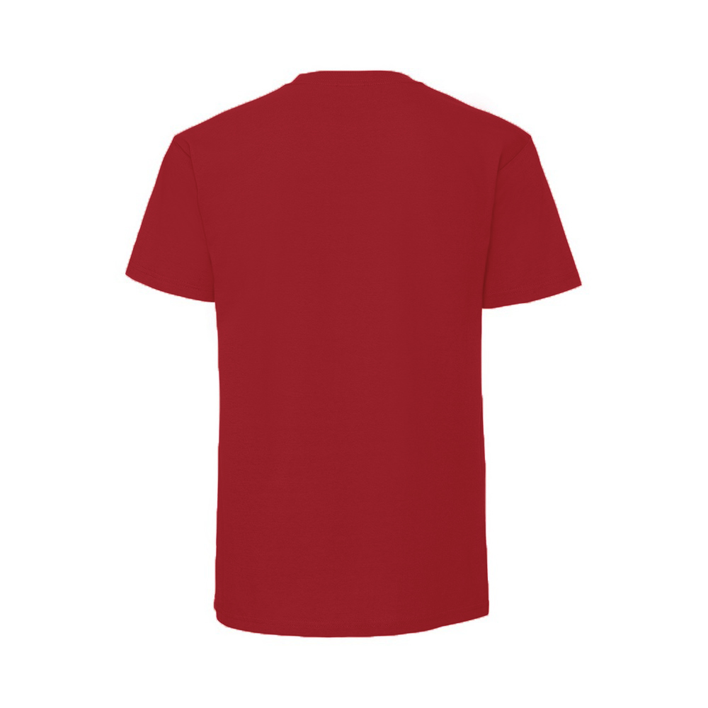 Fruit Of The Loom Mens Iconic 195 Ringspun Premium Tshirt (RW5974) - Picture 58 of 76