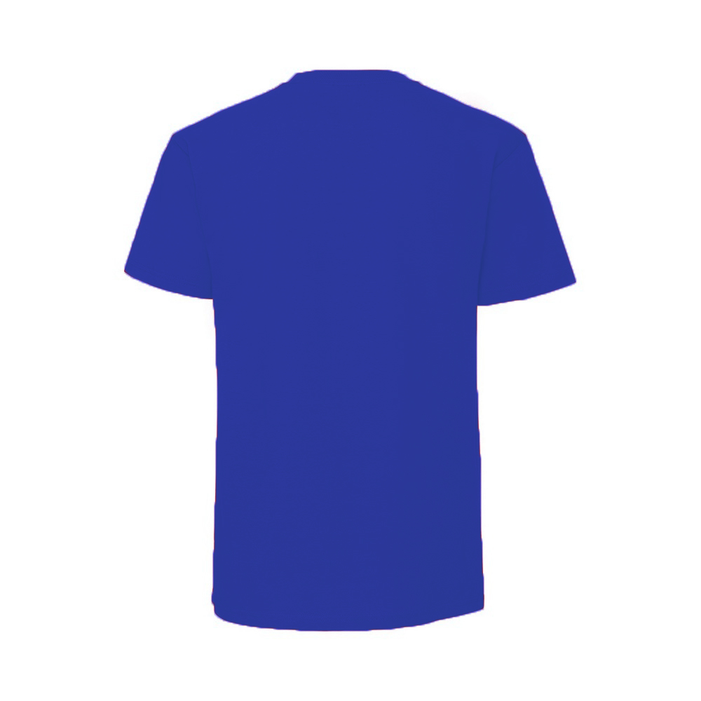 Fruit Of The Loom Mens Iconic 195 Ringspun Premium Tshirt (RW5974) - Picture 61 of 76