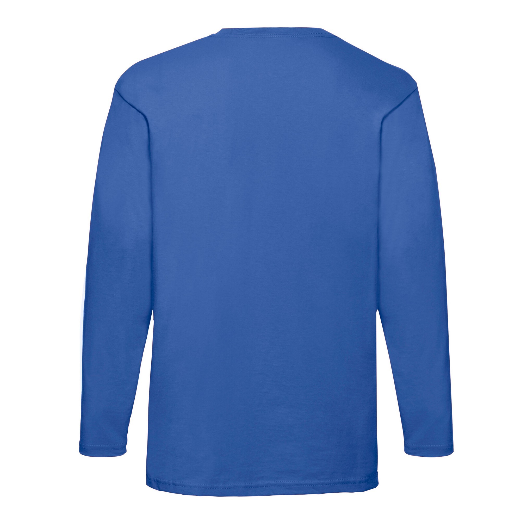 Fruit of the Loom Mens Valueweight Long-Sleeved T-Shirt (RW9748) - Picture 11 of 12