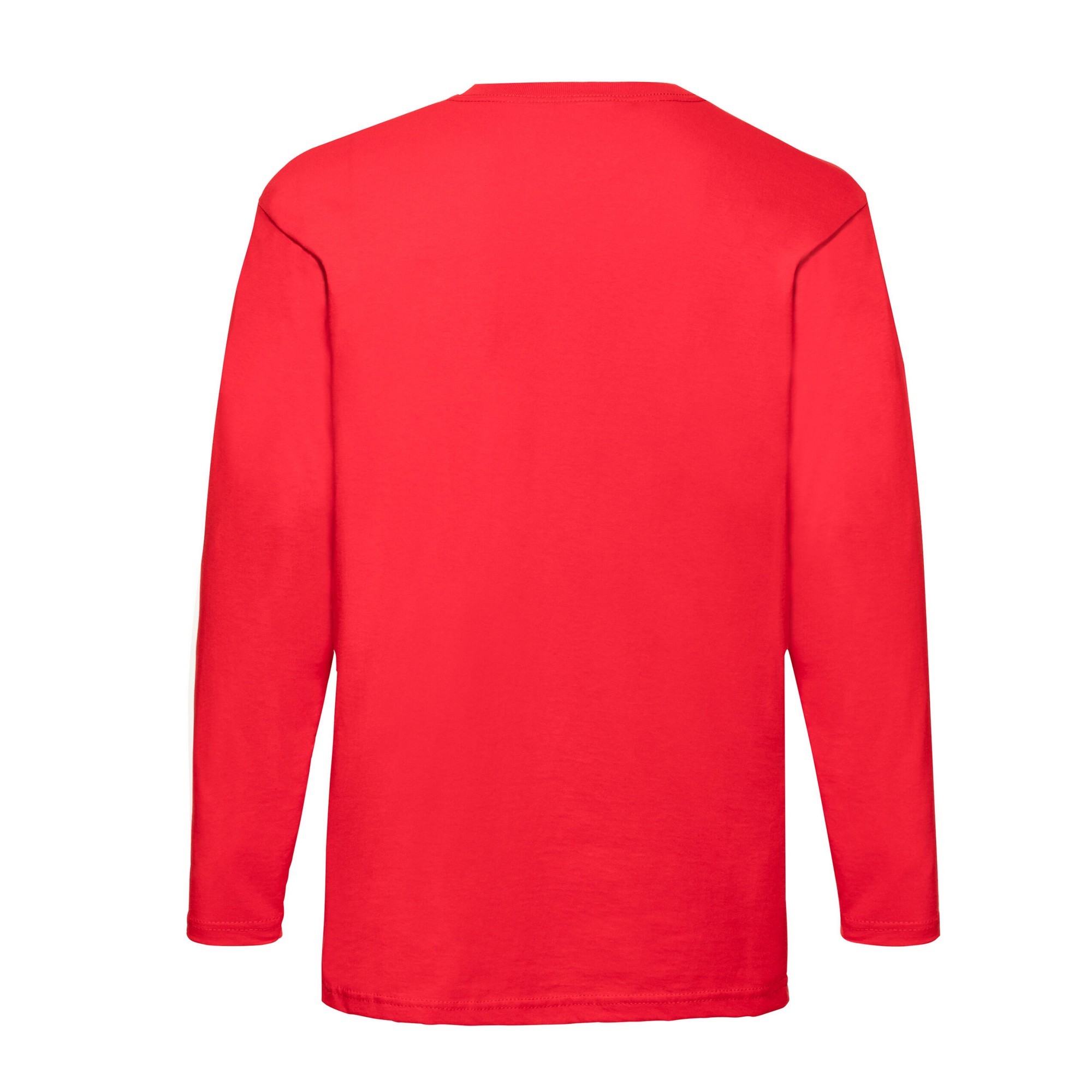 Fruit of the Loom Mens Valueweight Long-Sleeved T-Shirt (RW9748) - Picture 8 of 12