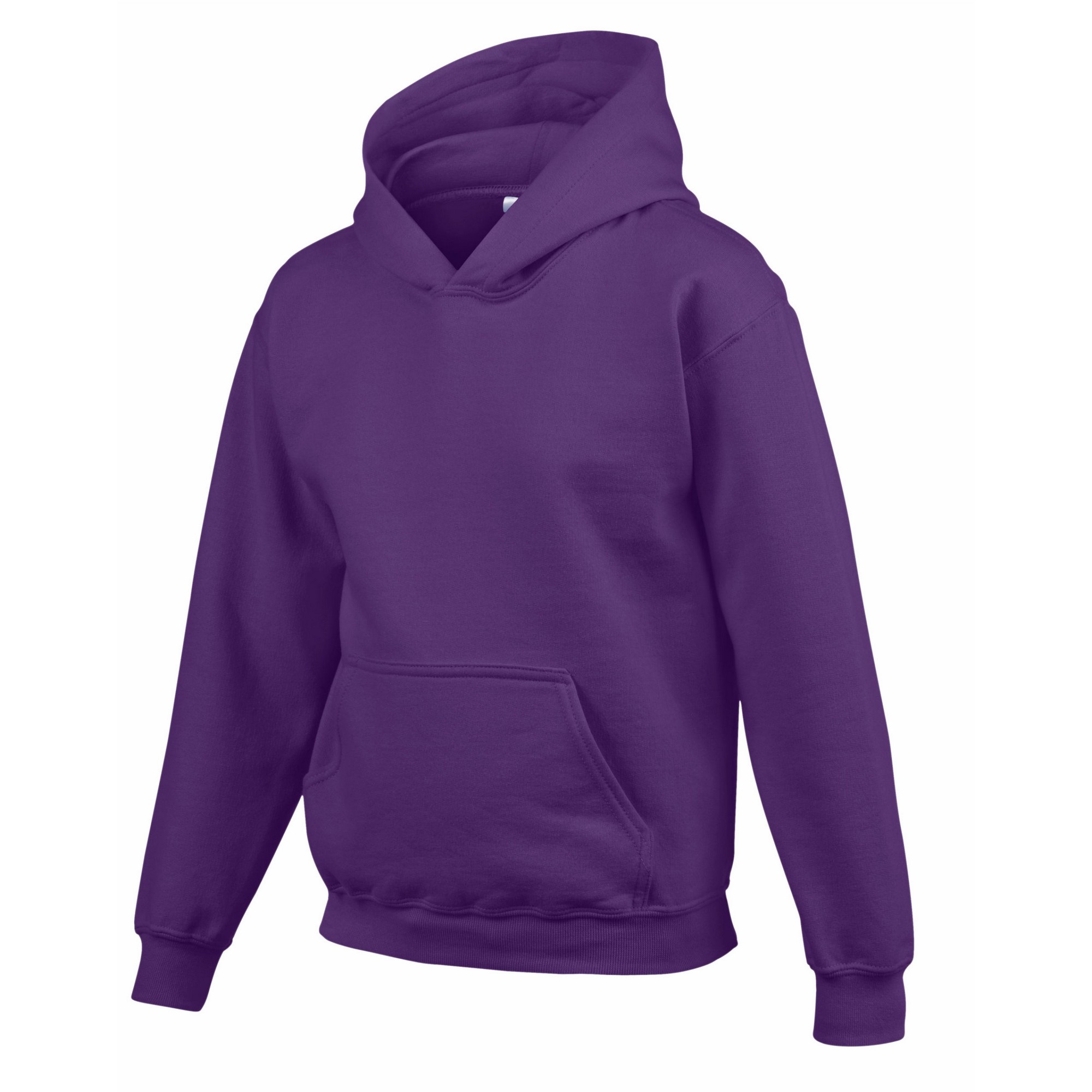 Gildan Childrens/Kids Heavy Blend Hoodie (RW9816) - Picture 23 of 32