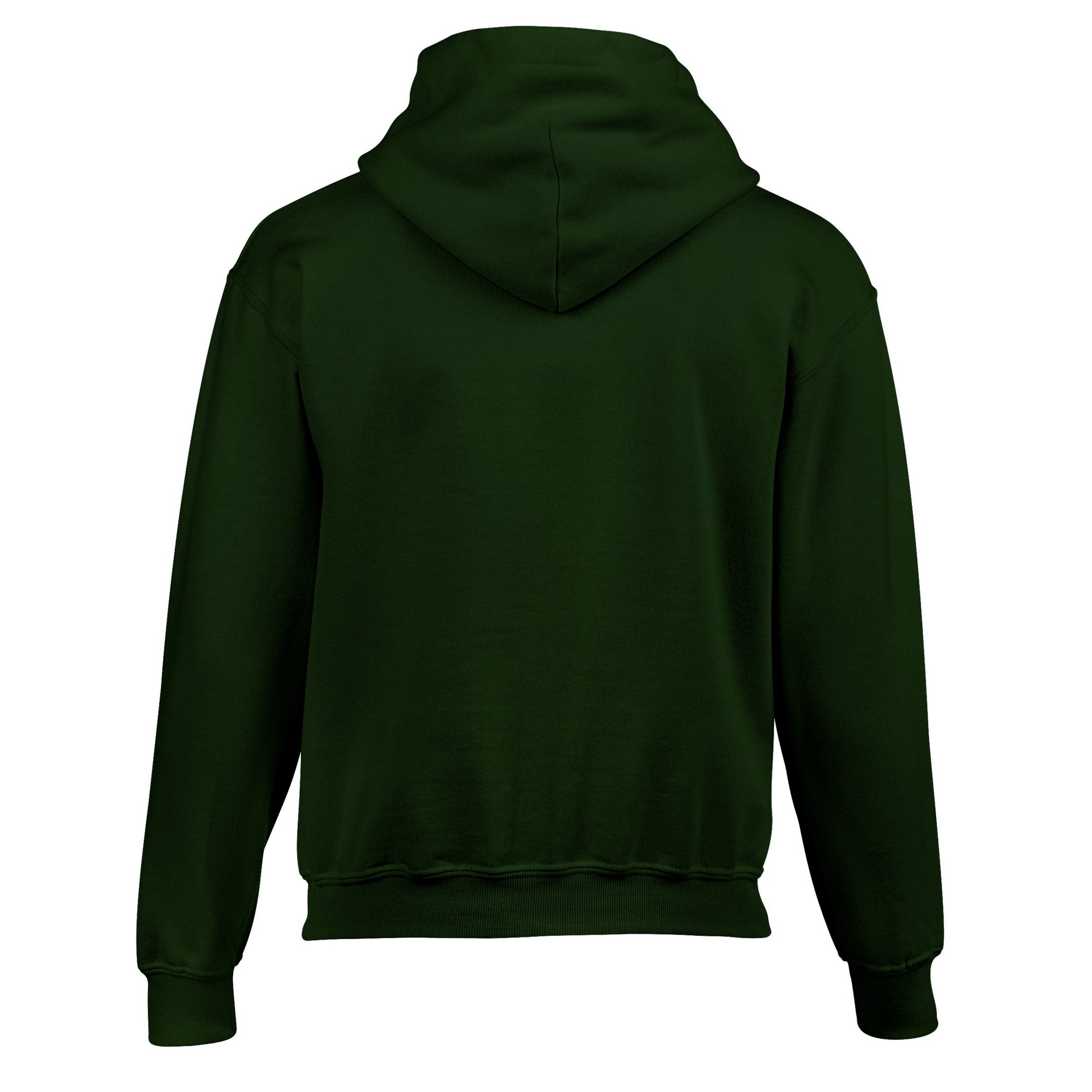 Gildan Childrens/Kids Heavy Blend Hoodie (RW9816) - Picture 16 of 32