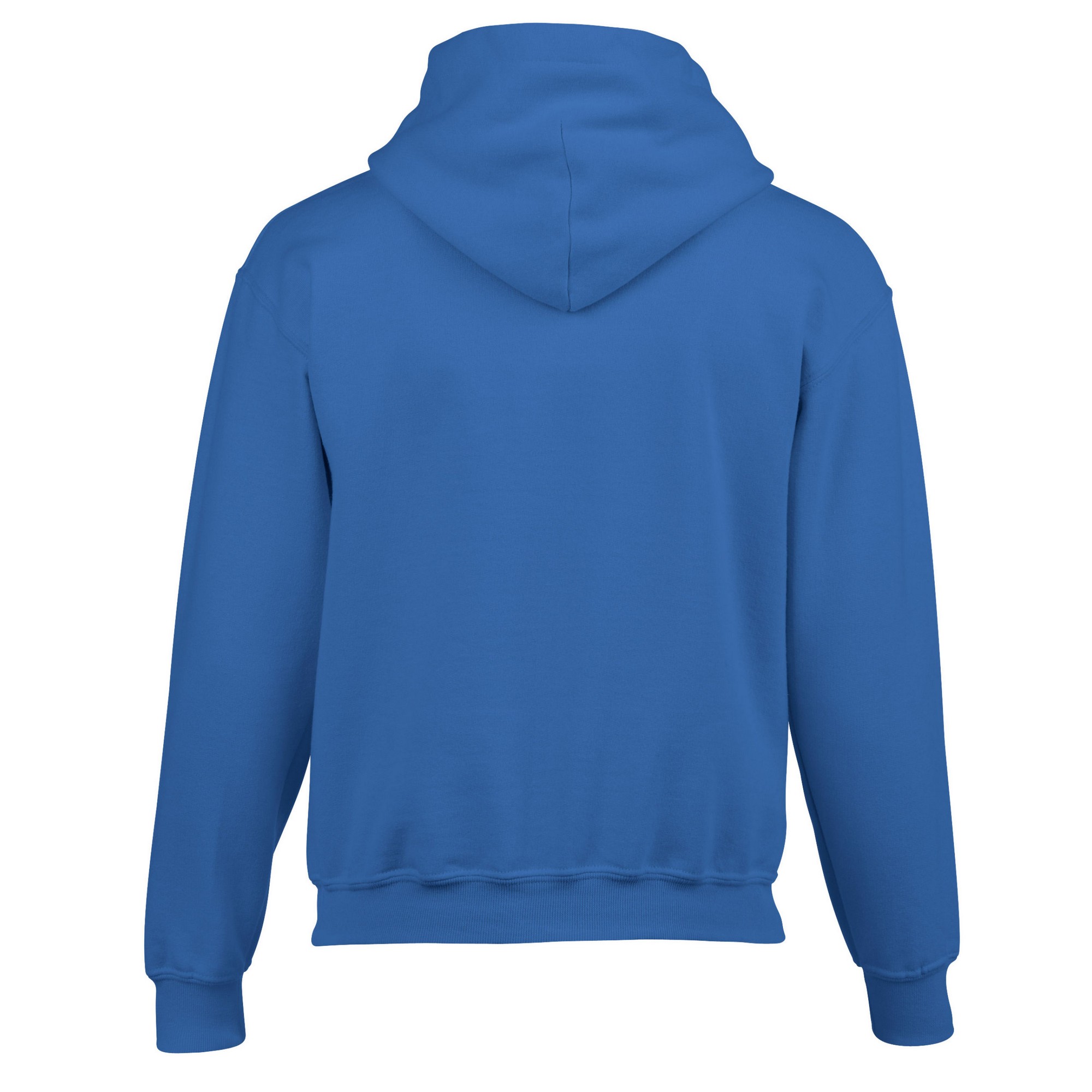 Gildan Childrens/Kids Heavy Blend Hoodie (RW9816) - Picture 28 of 32