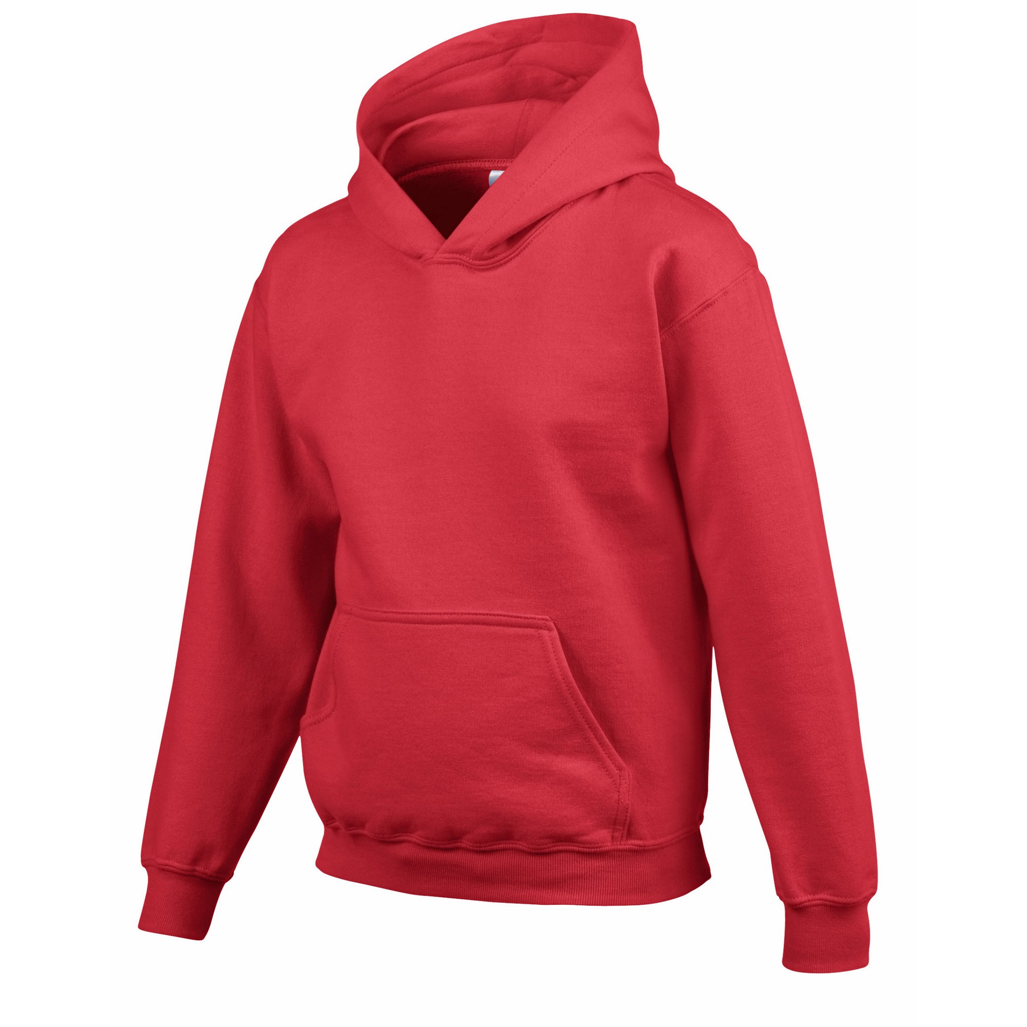 Gildan Childrens/Kids Heavy Blend Hoodie (RW9816) - Picture 26 of 32